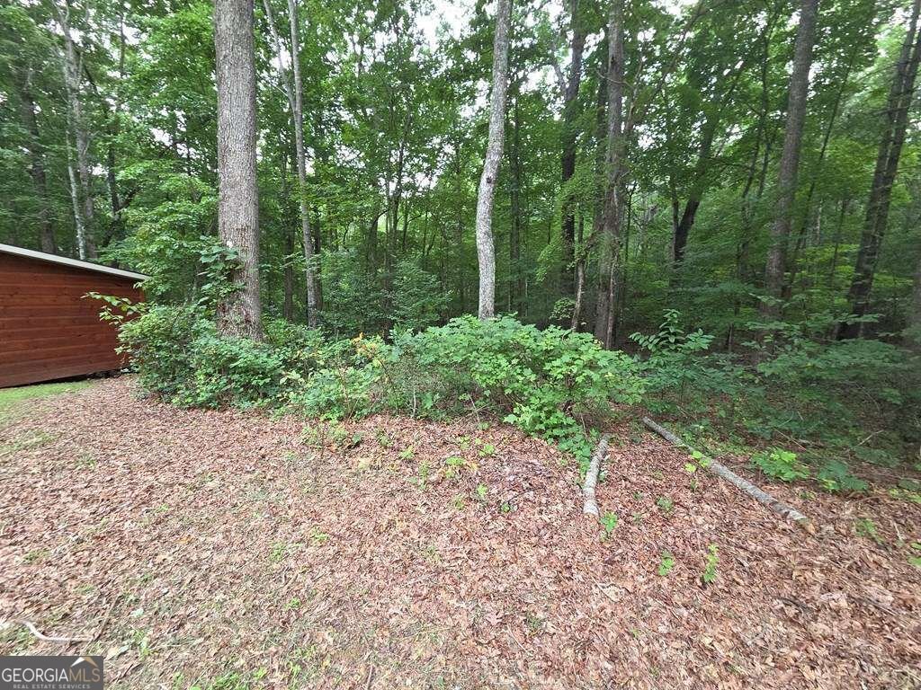 150 Trail Tree Drive Blairsville - Photo 66