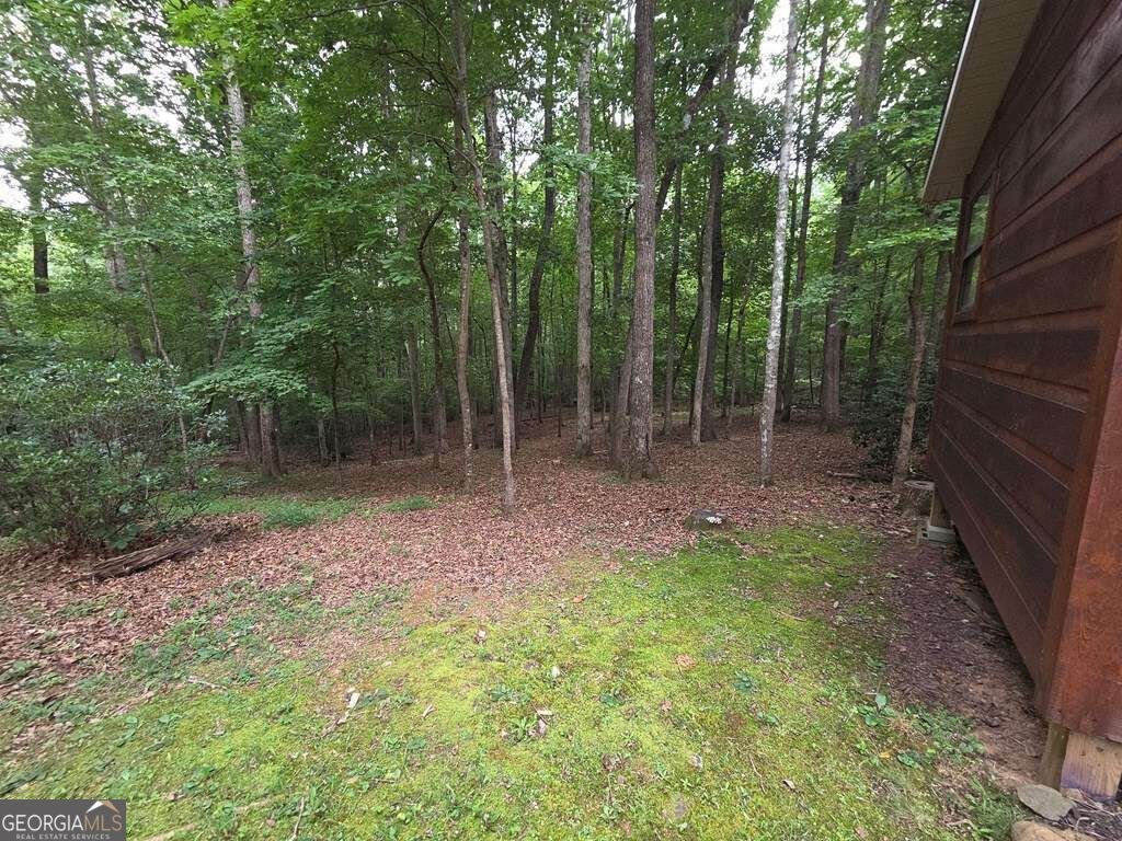 150 Trail Tree Drive Blairsville - Photo 70