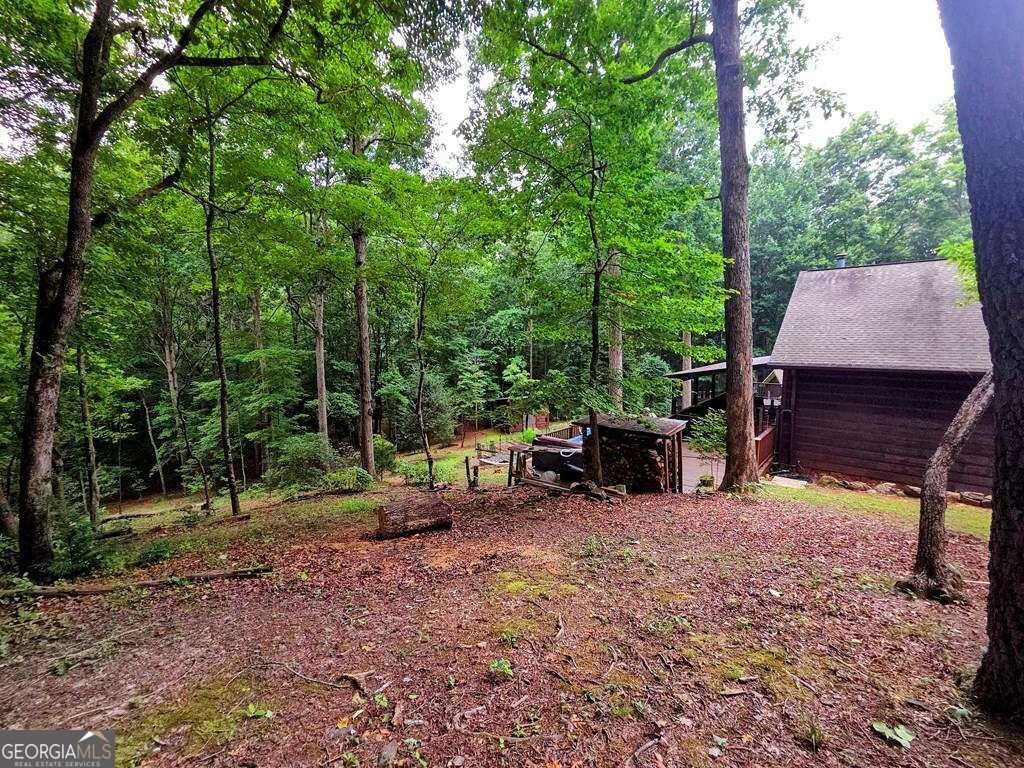 150 Trail Tree Drive Blairsville - Photo 73