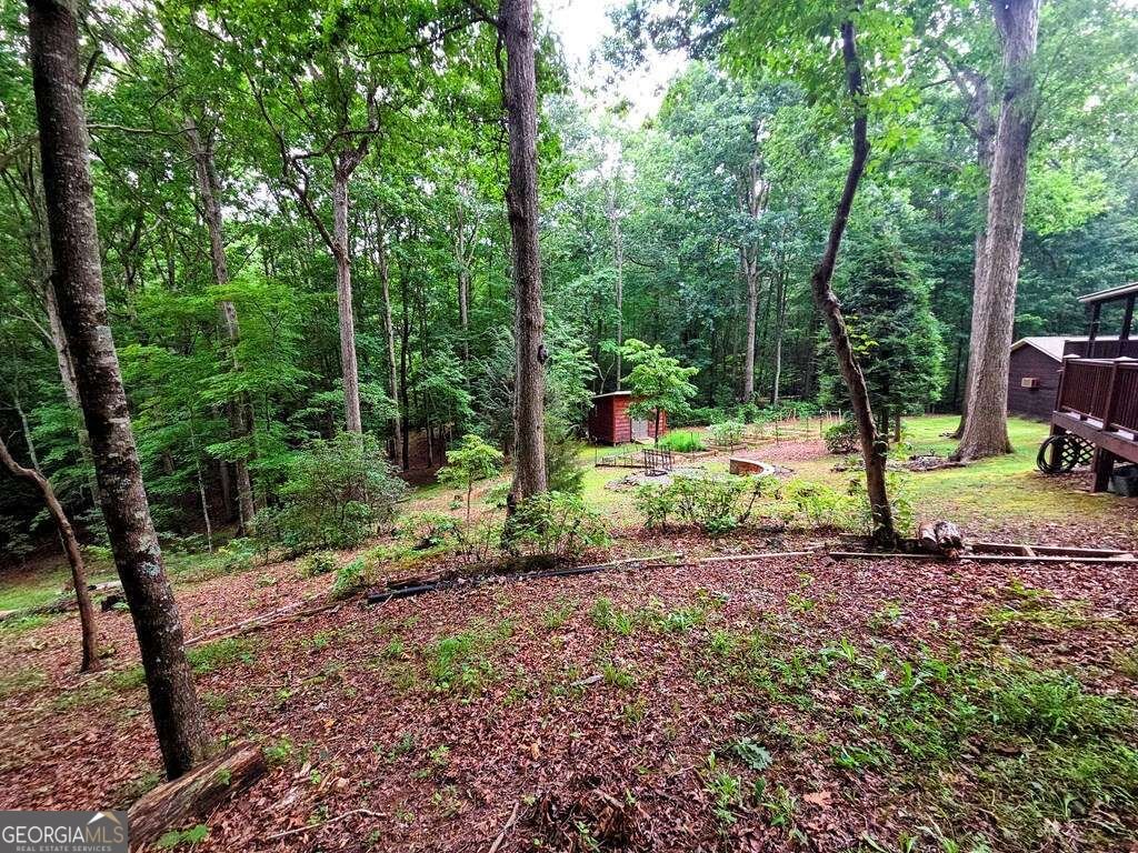 150 Trail Tree Drive Blairsville - Photo 74