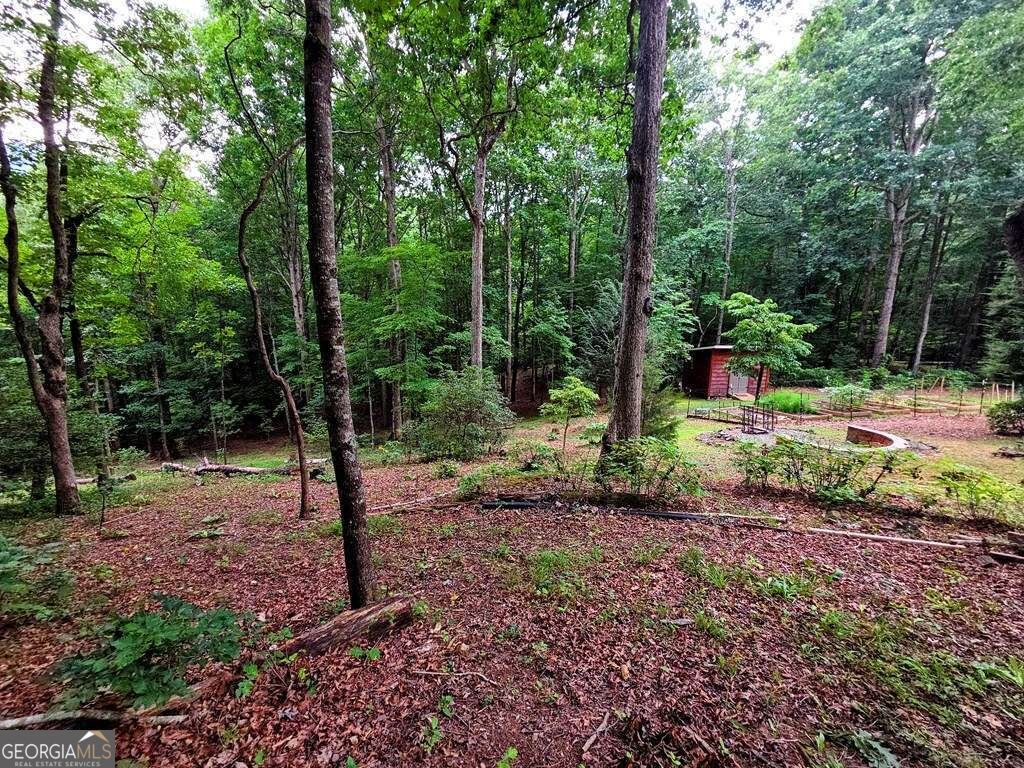 150 Trail Tree Drive Blairsville - Photo 75
