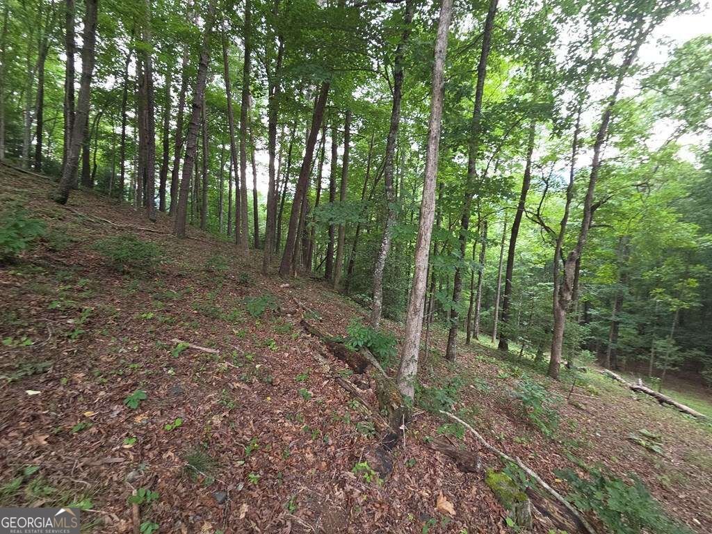 150 Trail Tree Drive Blairsville - Photo 76