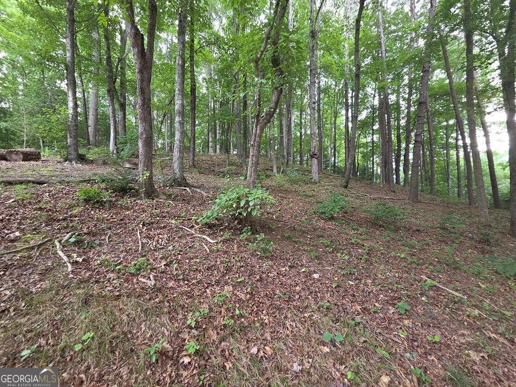 150 Trail Tree Drive Blairsville - Photo 77