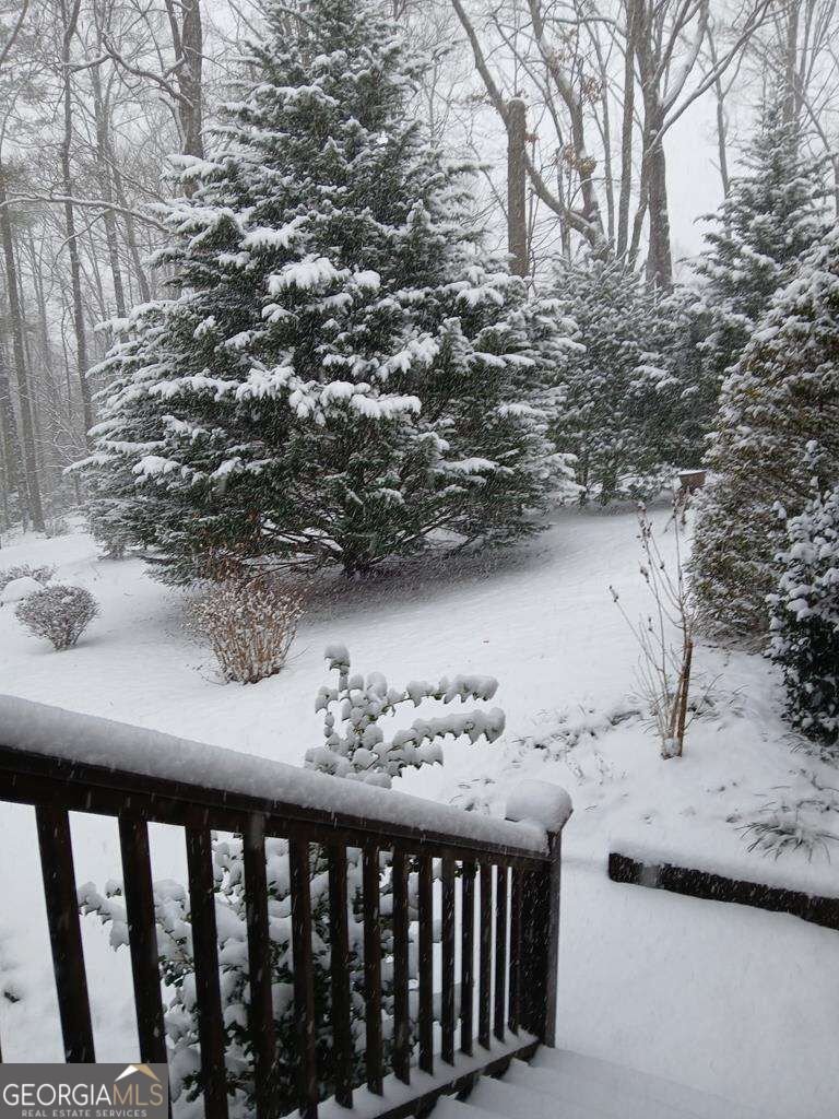 150 Trail Tree Drive Blairsville - Photo 89