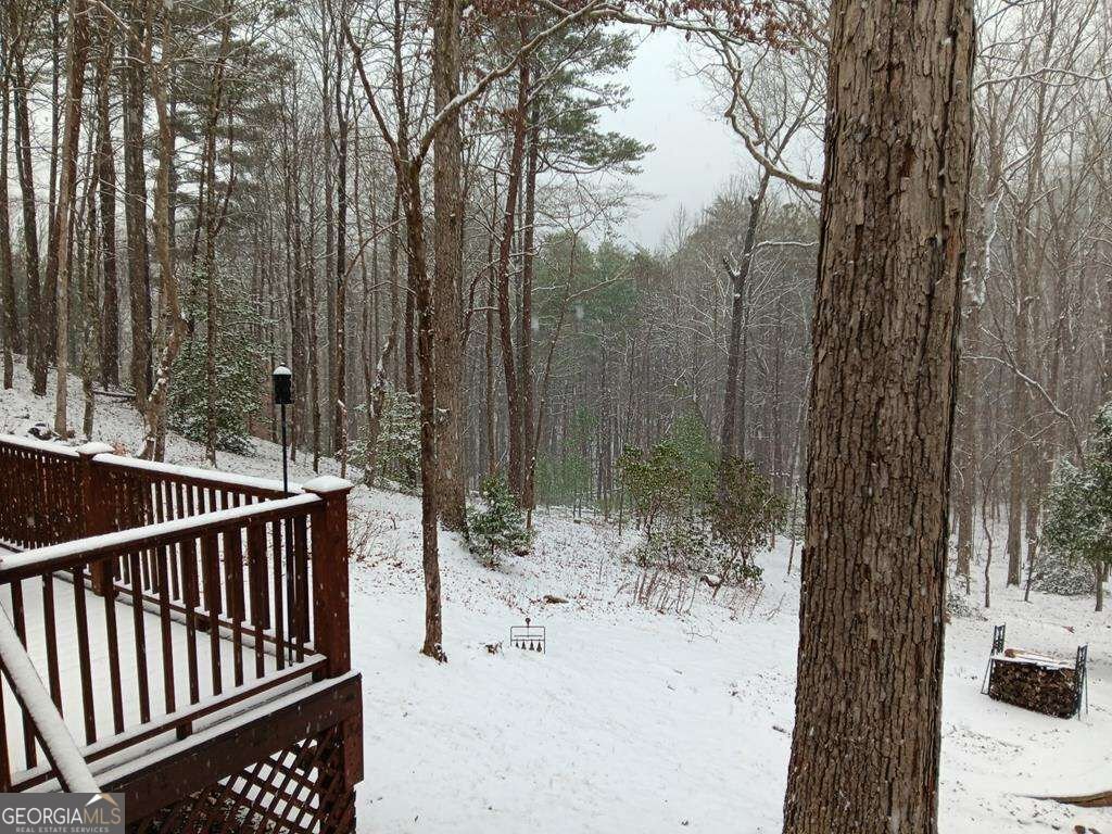150 Trail Tree Drive Blairsville - Photo 90