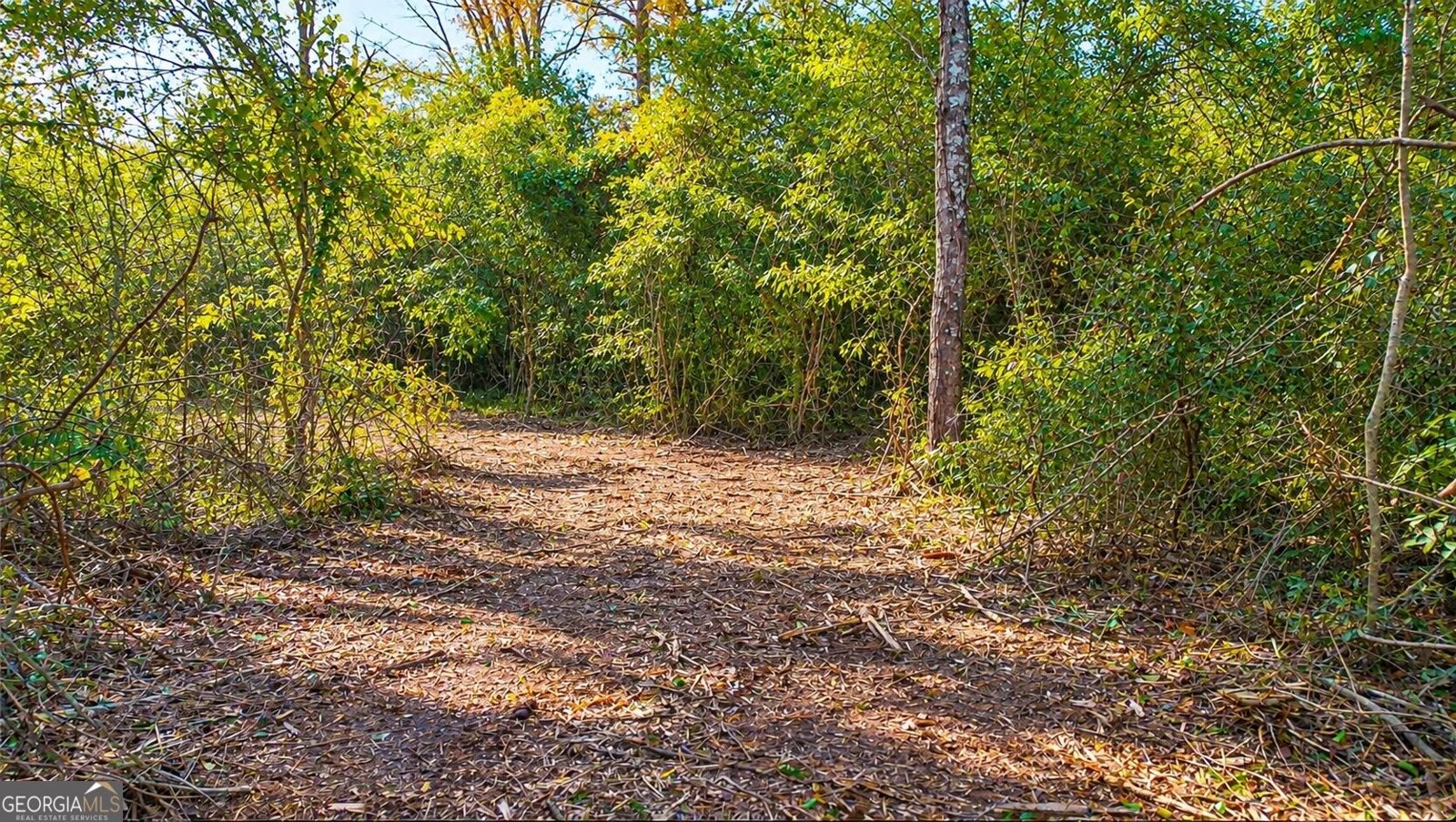 1921 West Hightower Trail Conyers - Photo 34