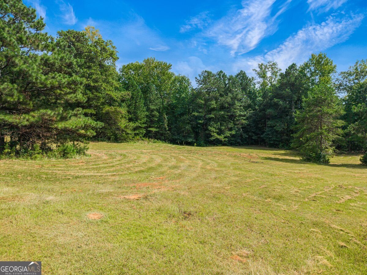 1921 West Hightower Trail Conyers - Photo 38