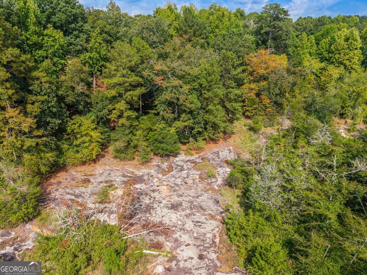 1921 West Hightower Trail Conyers - Photo 39
