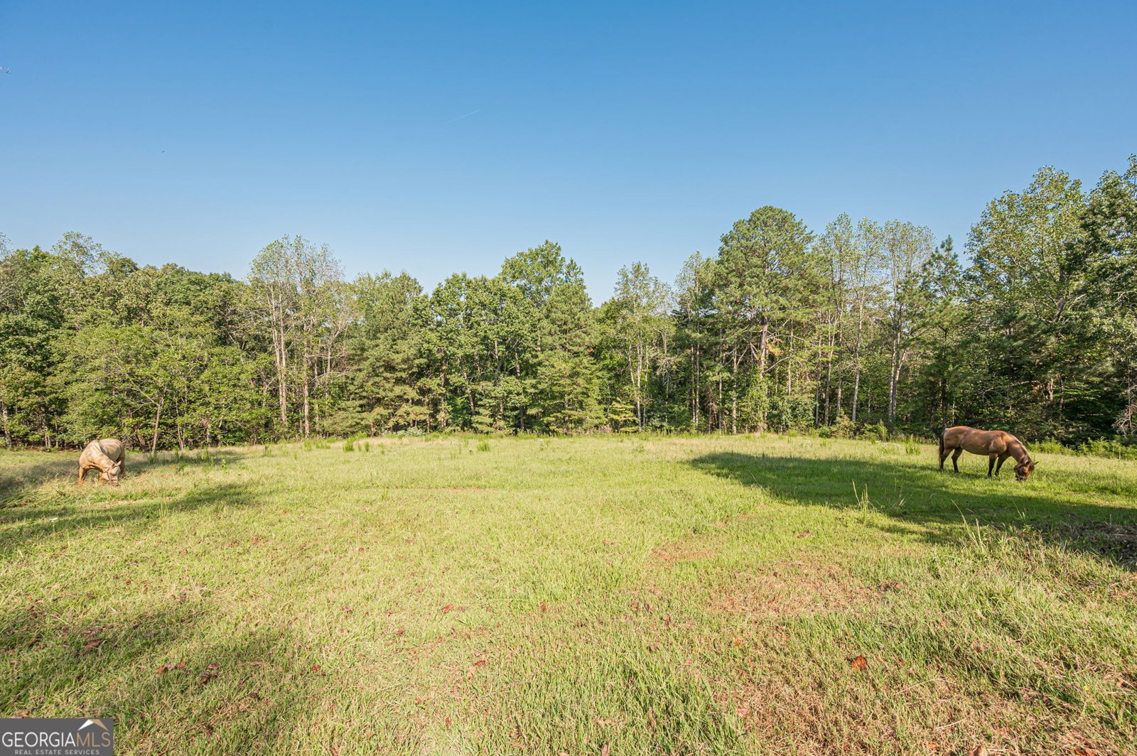 1276 Howell Ball Ground - Photo 34