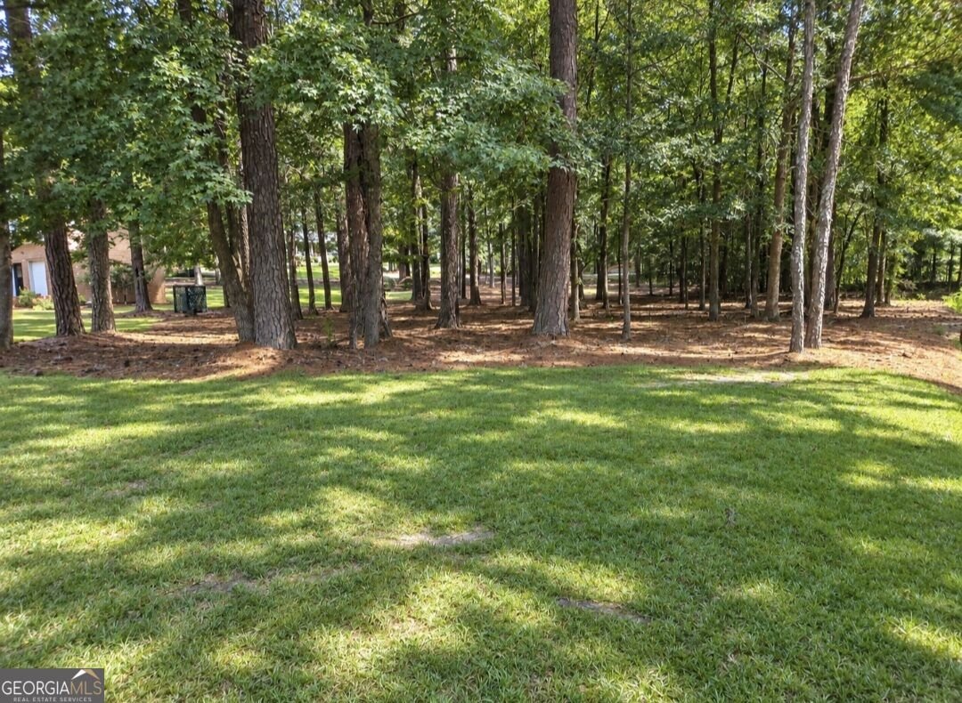 120 Lynn Place Cochran - Photo 28