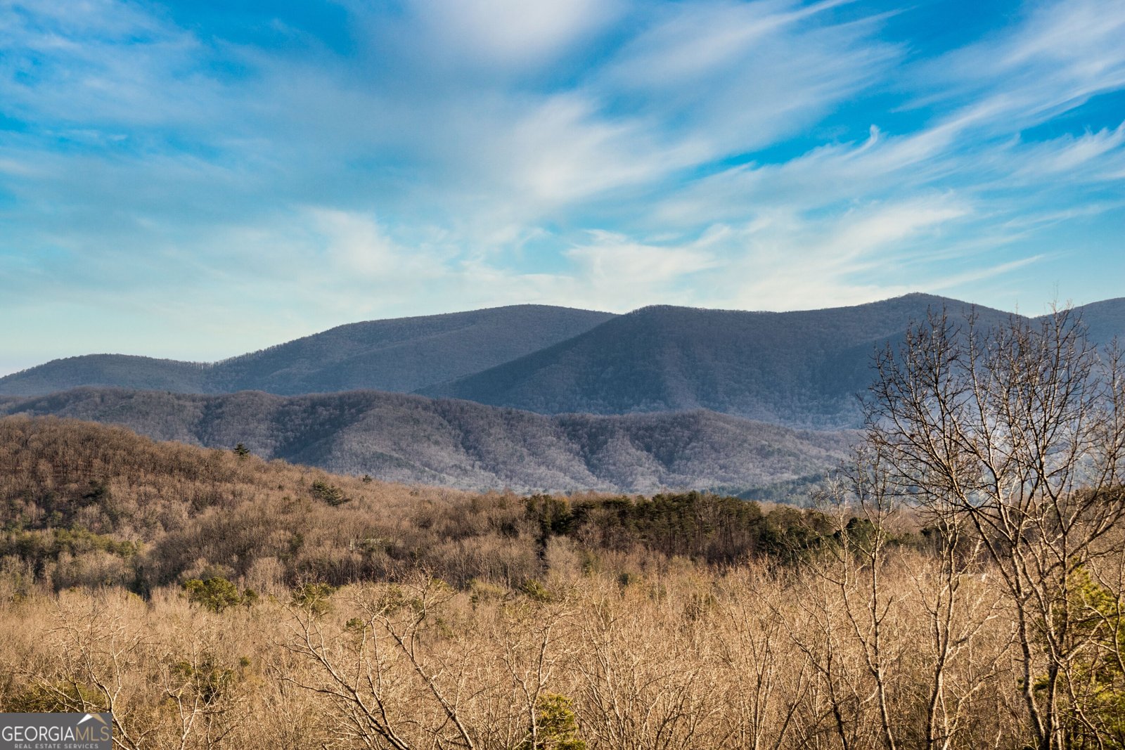 49 Chestnut Overlook Blue Ridge - Photo 15