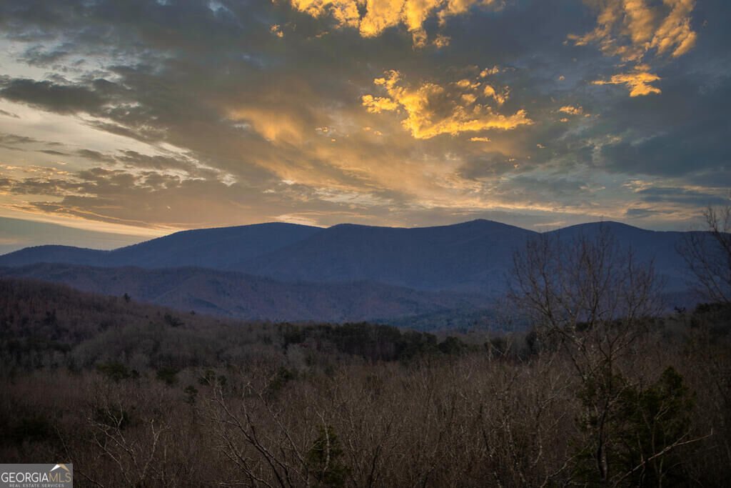 49 Chestnut Overlook Blue Ridge - Photo 58