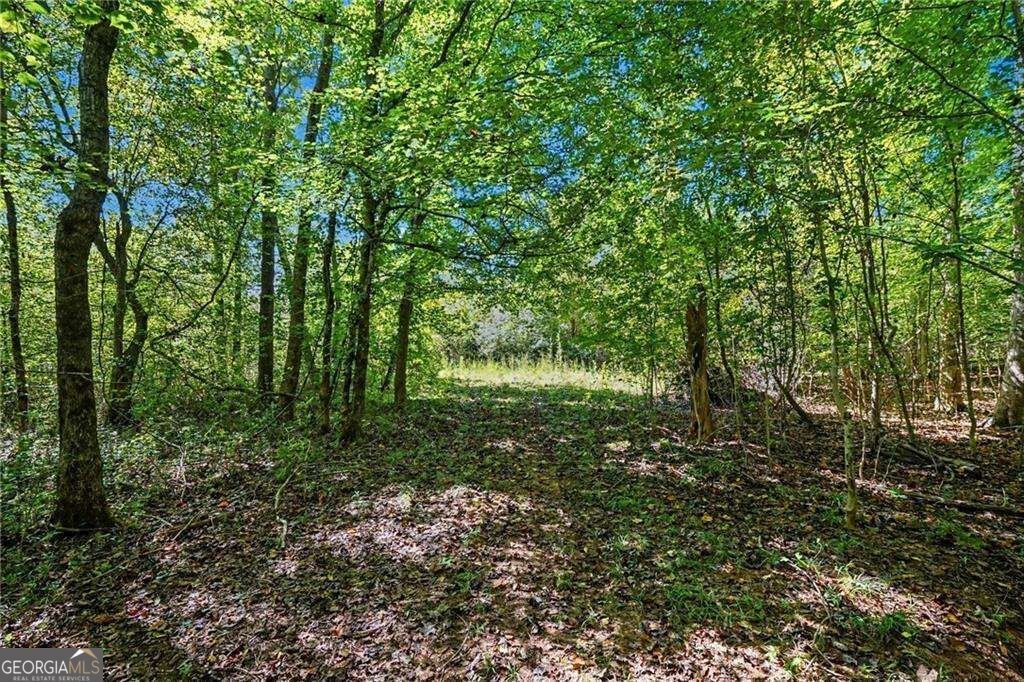 1068 Wrights Mill Road Commerce - Photo 39