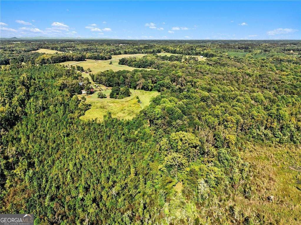 1068 Wrights Mill Road Commerce - Photo 46
