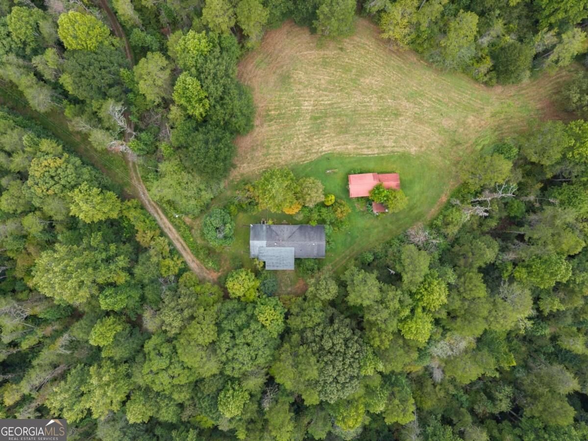 7099 George Barnes Road Murrayville - Photo 27
