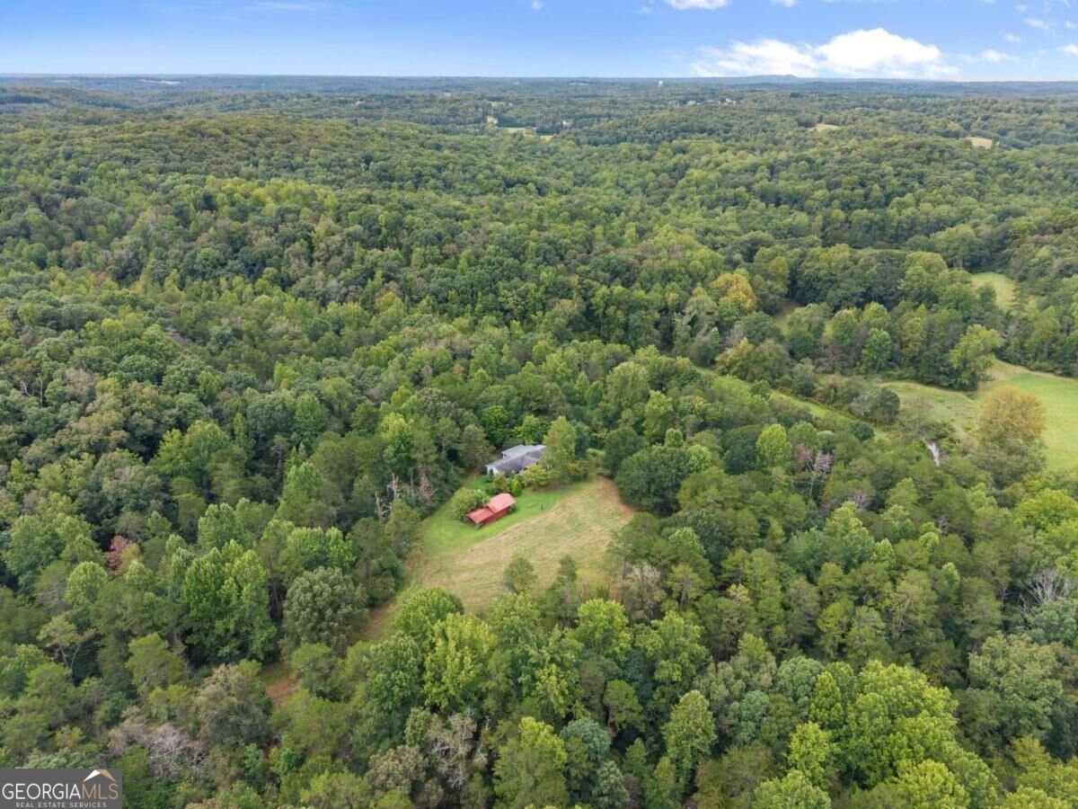7099 George Barnes Road Murrayville - Photo 28