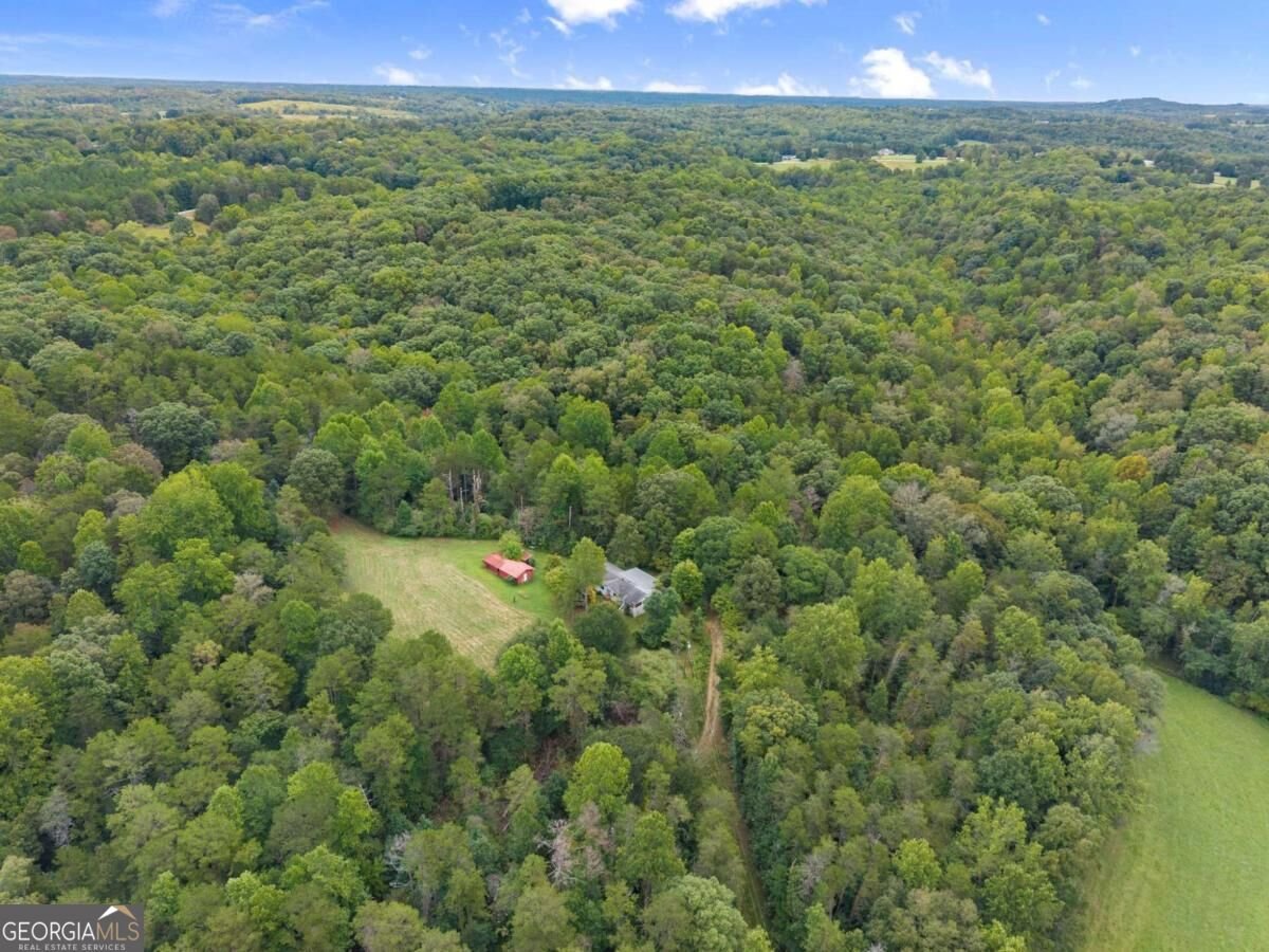 7099 George Barnes Road Murrayville - Photo 29