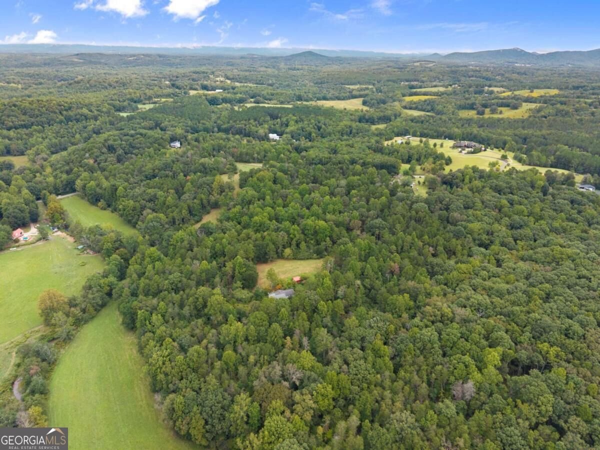 7099 George Barnes Road Murrayville - Photo 30