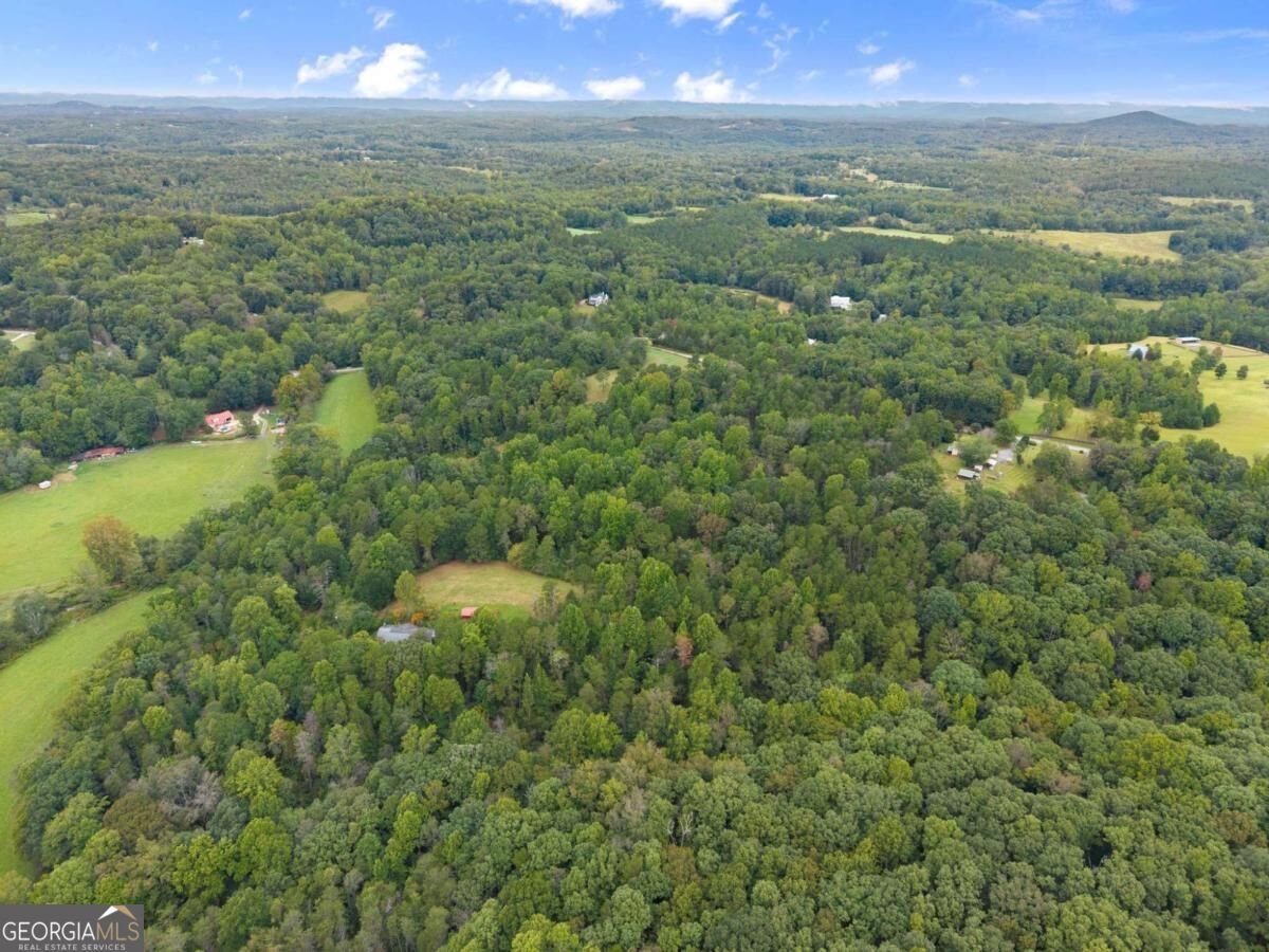 7099 George Barnes Road Murrayville - Photo 31