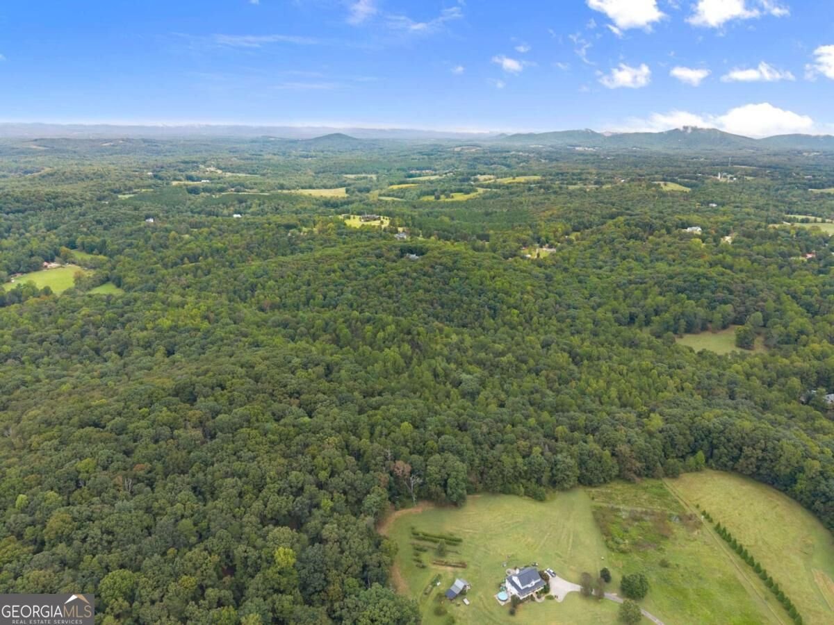 7099 George Barnes Road Murrayville - Photo 32