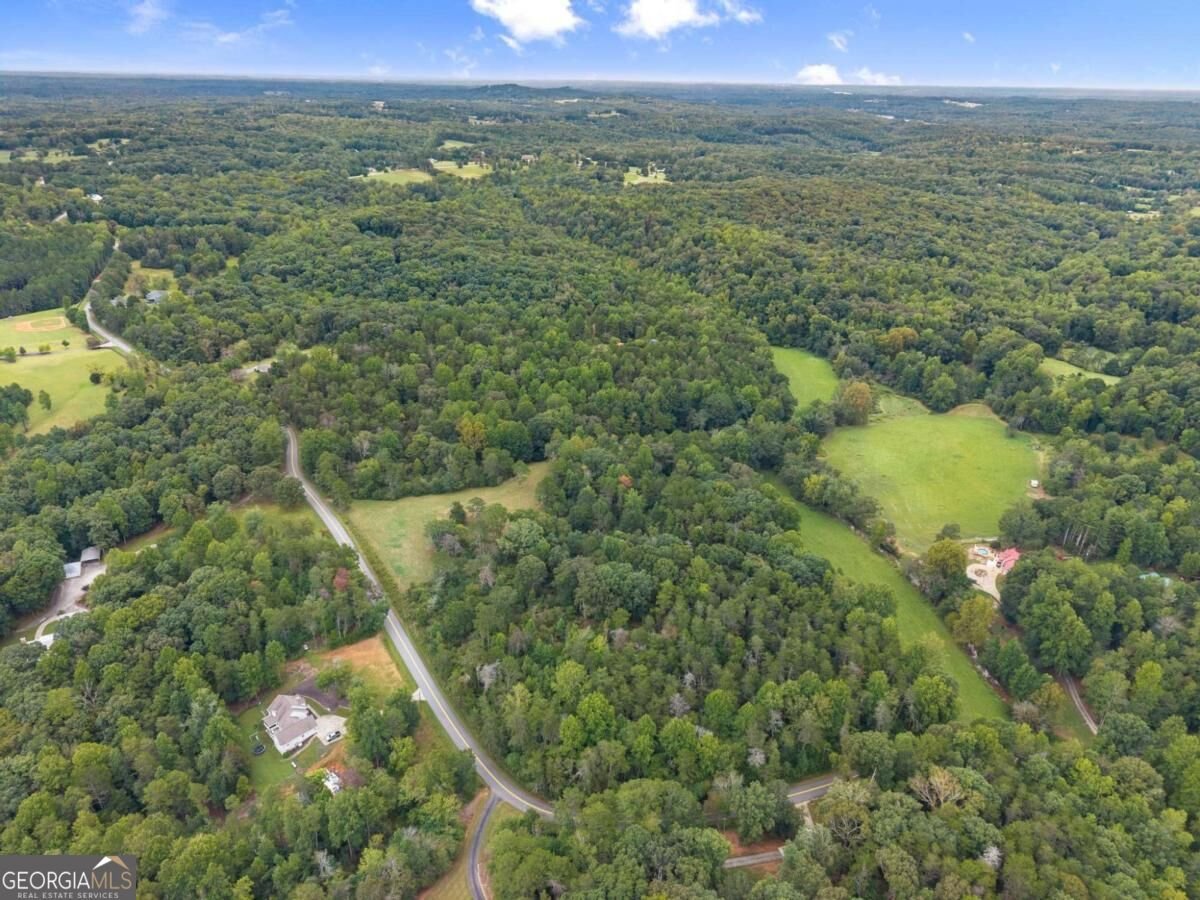 7099 George Barnes Road Murrayville - Photo 33