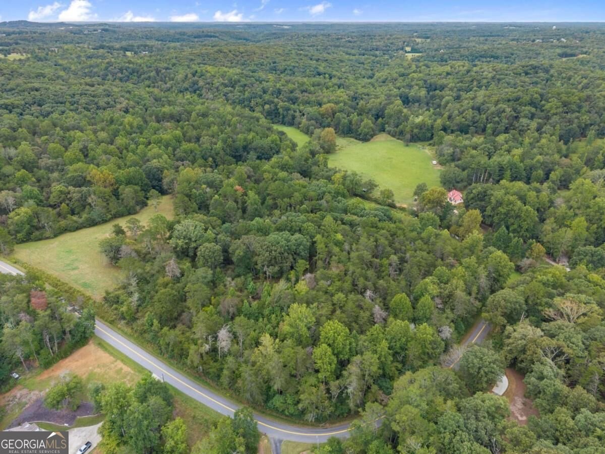 7099 George Barnes Road Murrayville - Photo 34