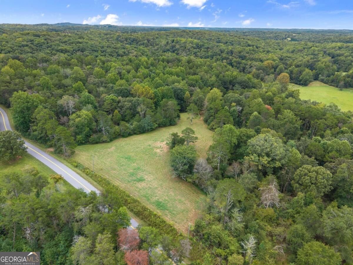7099 George Barnes Road Murrayville - Photo 35