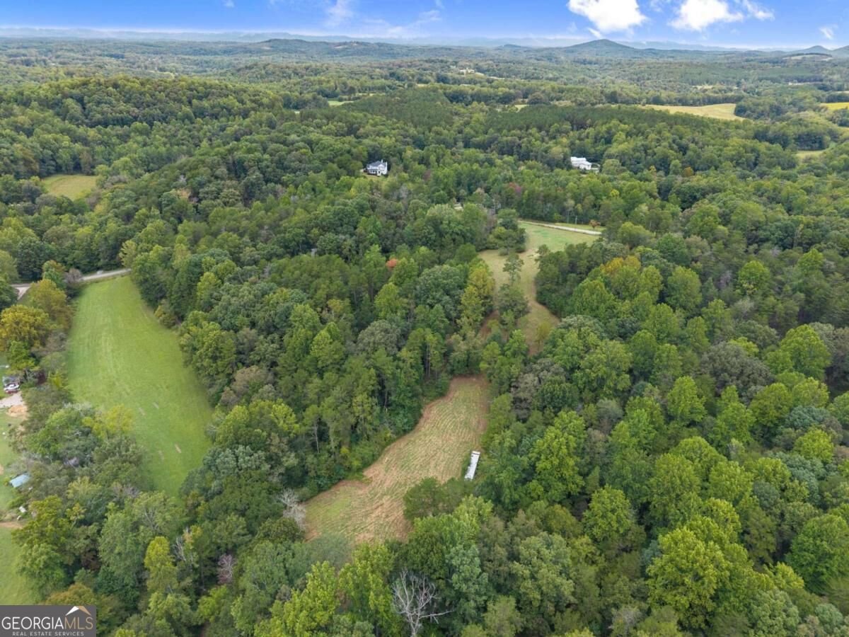 7099 George Barnes Road Murrayville - Photo 37