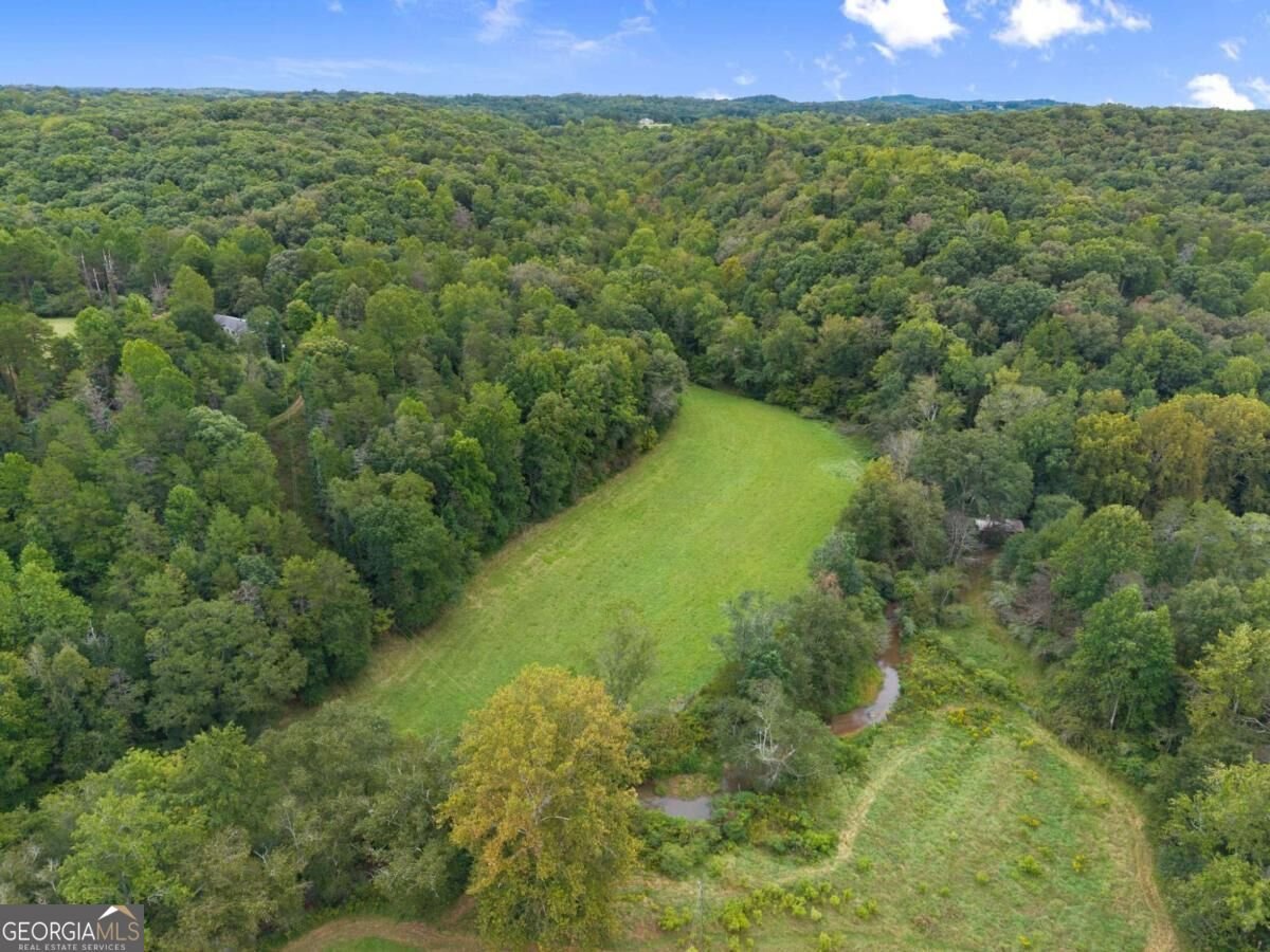 7099 George Barnes Road Murrayville - Photo 39