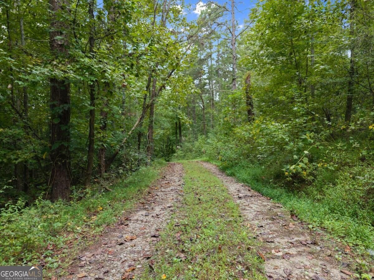 7099 George Barnes Road Murrayville - Photo 40