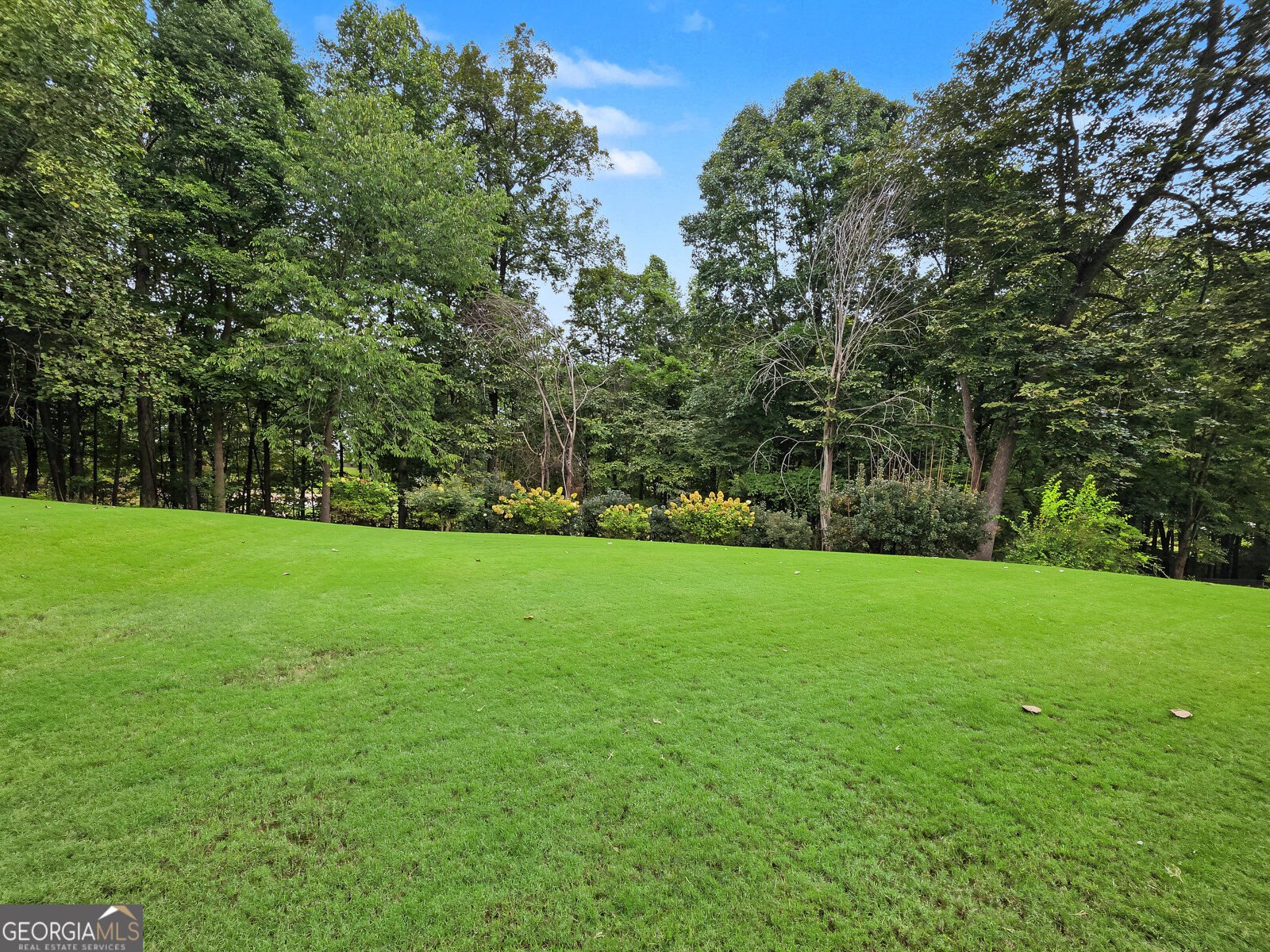 9722 Spyglass Drive Villa Rica - Photo 41