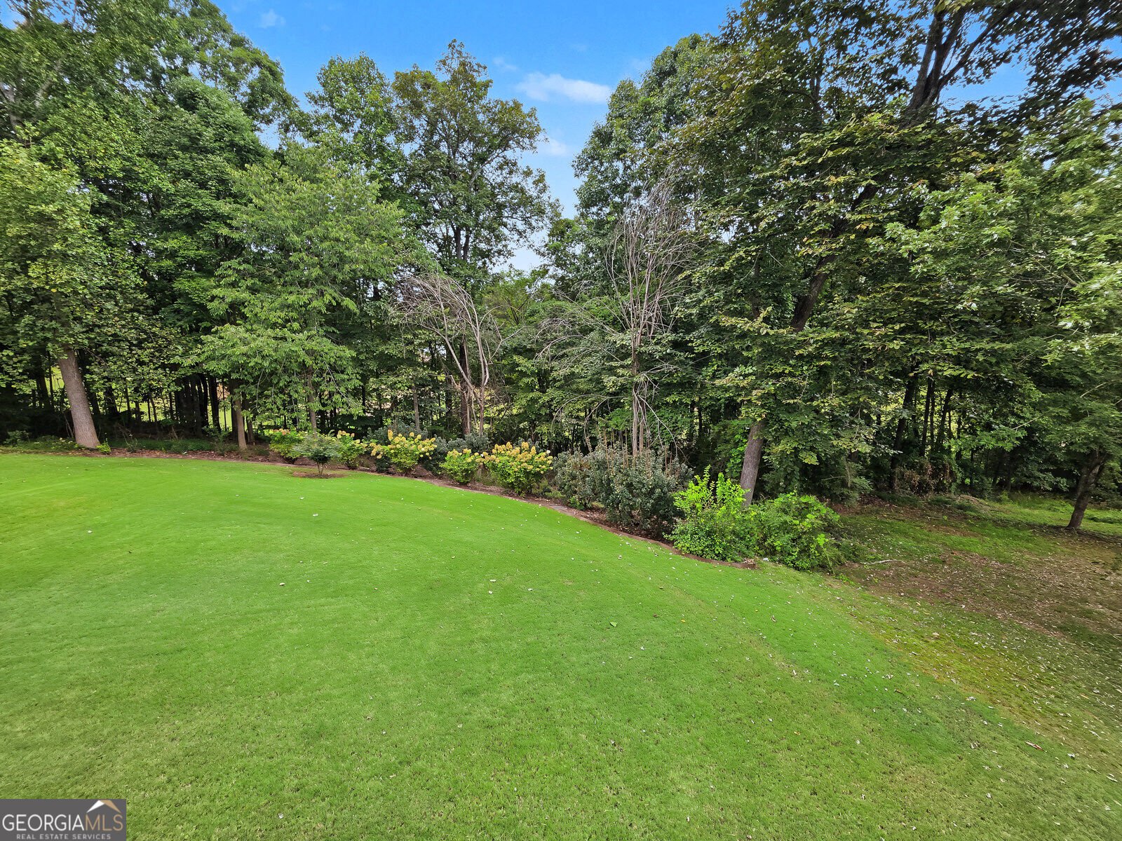 9722 Spyglass Drive Villa Rica - Photo 46