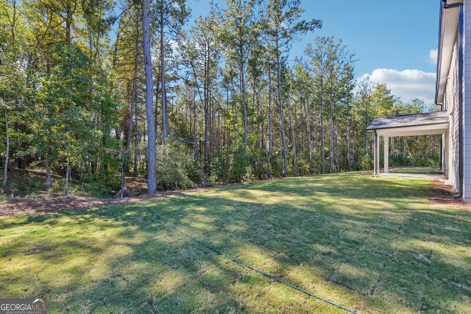 6007 Cabernet Lane Braselton - Photo 56