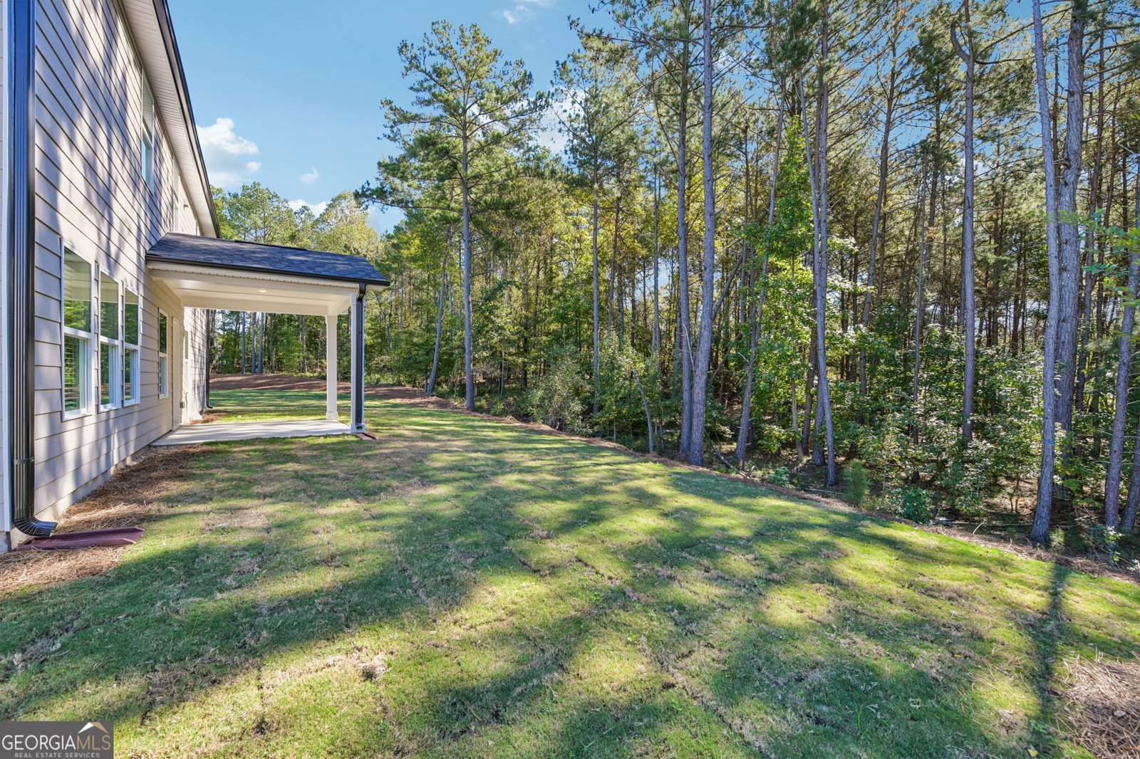 6007 Cabernet Lane Braselton - Photo 60