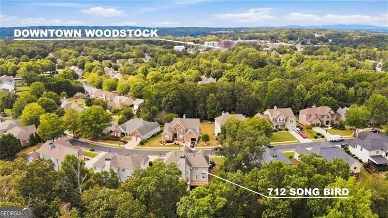 712 Song Bird Way Woodstock - Photo 30