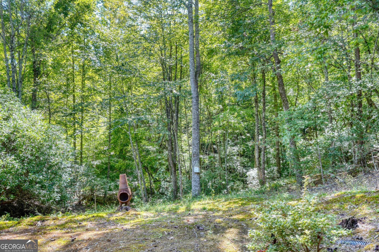 184 Beaver Ridge Road Murphy - Photo 47