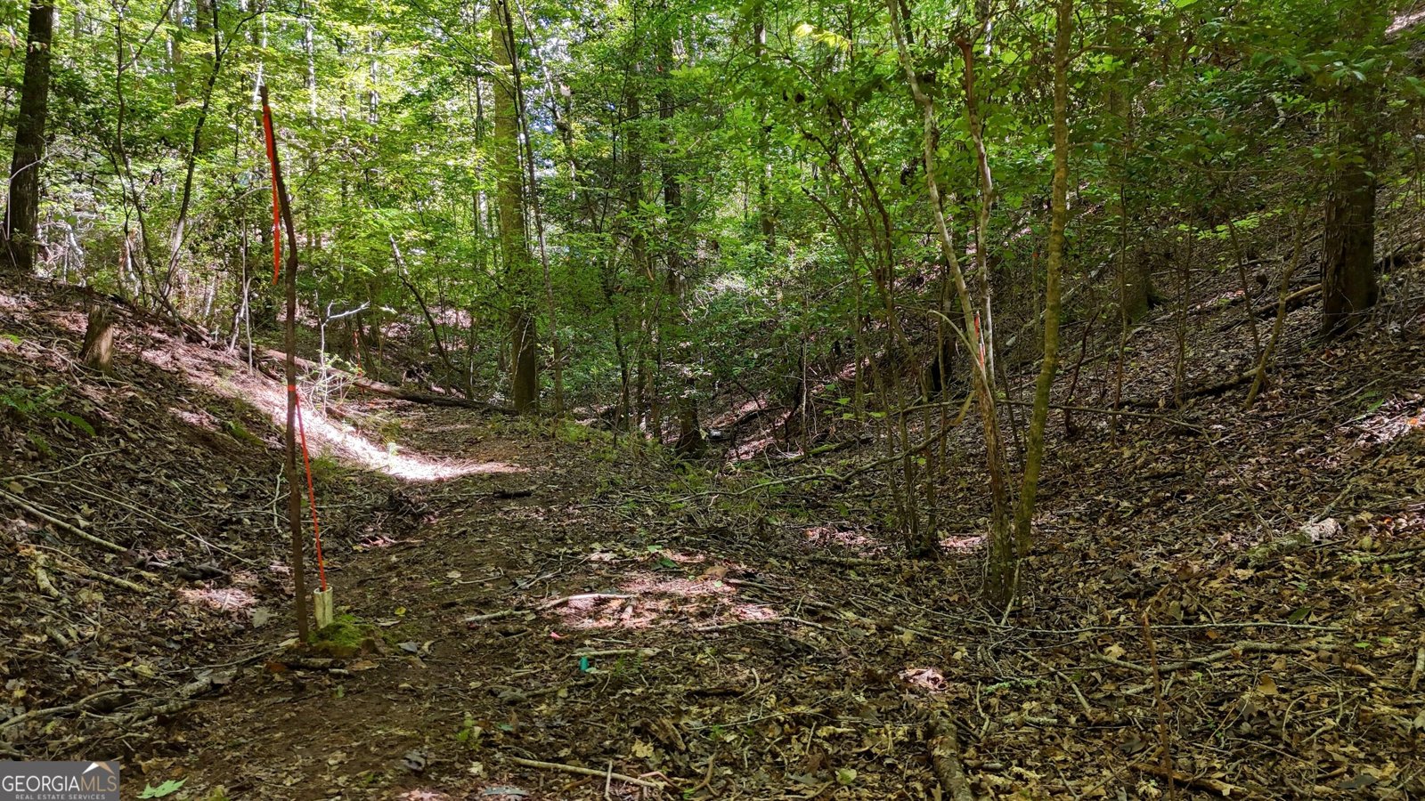184 Beaver Ridge Road Murphy - Photo 55