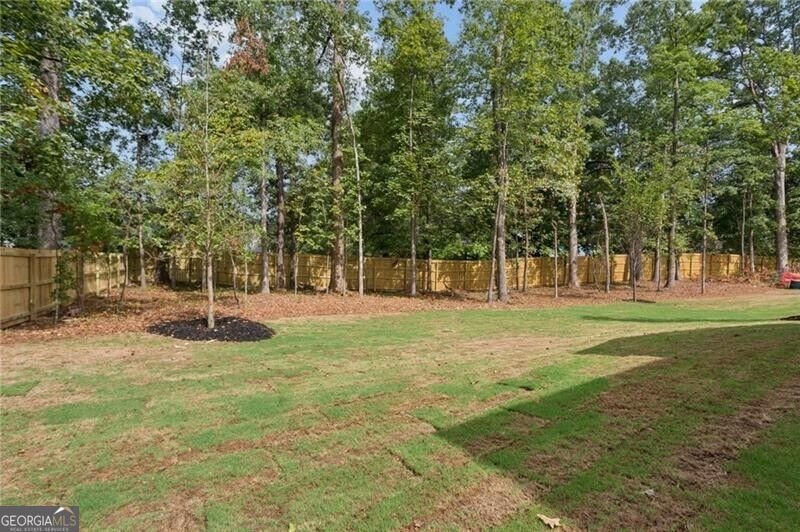2266 Belmont Circle Smyrna - Photo 40