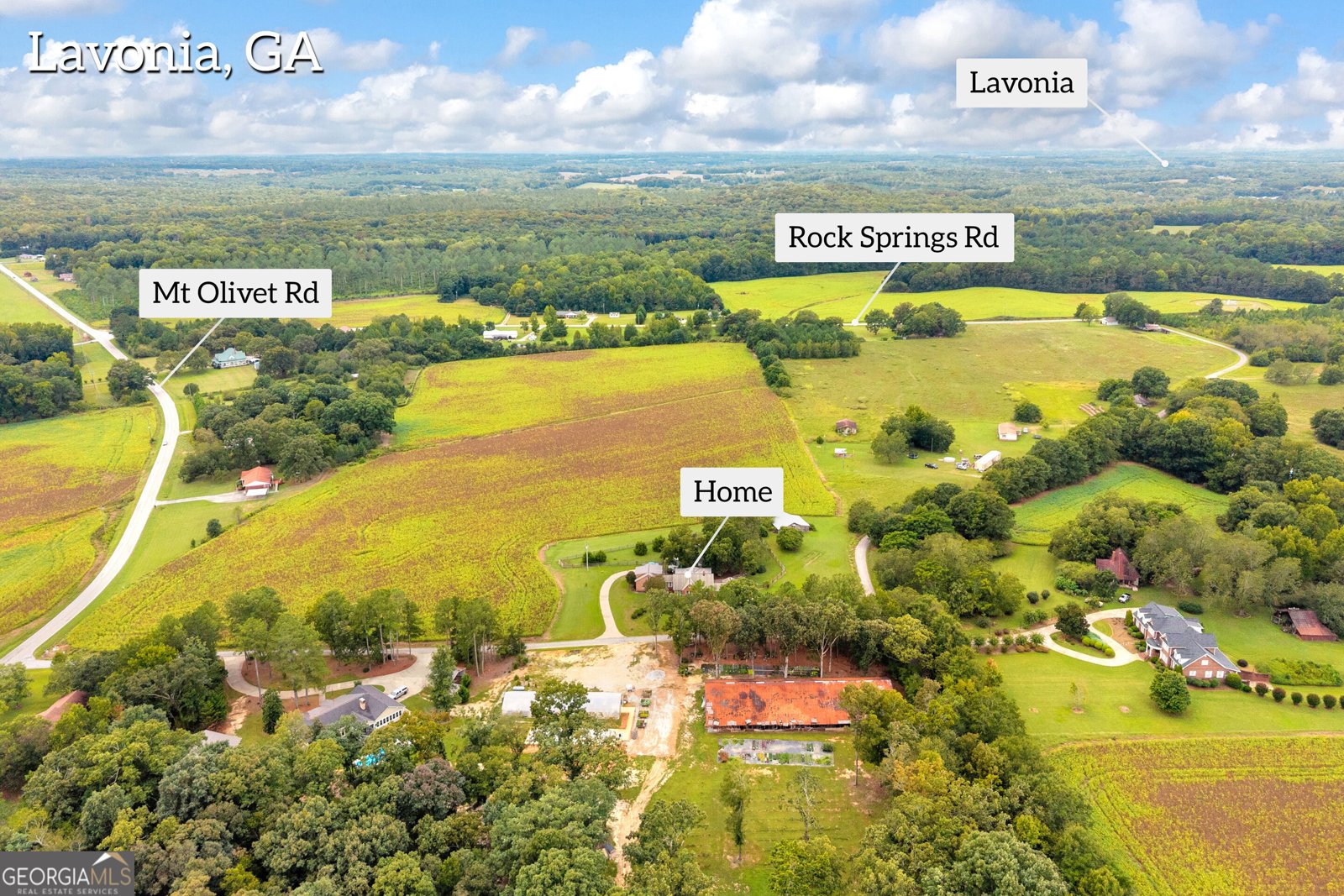 121 Bailey Place Road Lavonia - Photo 63