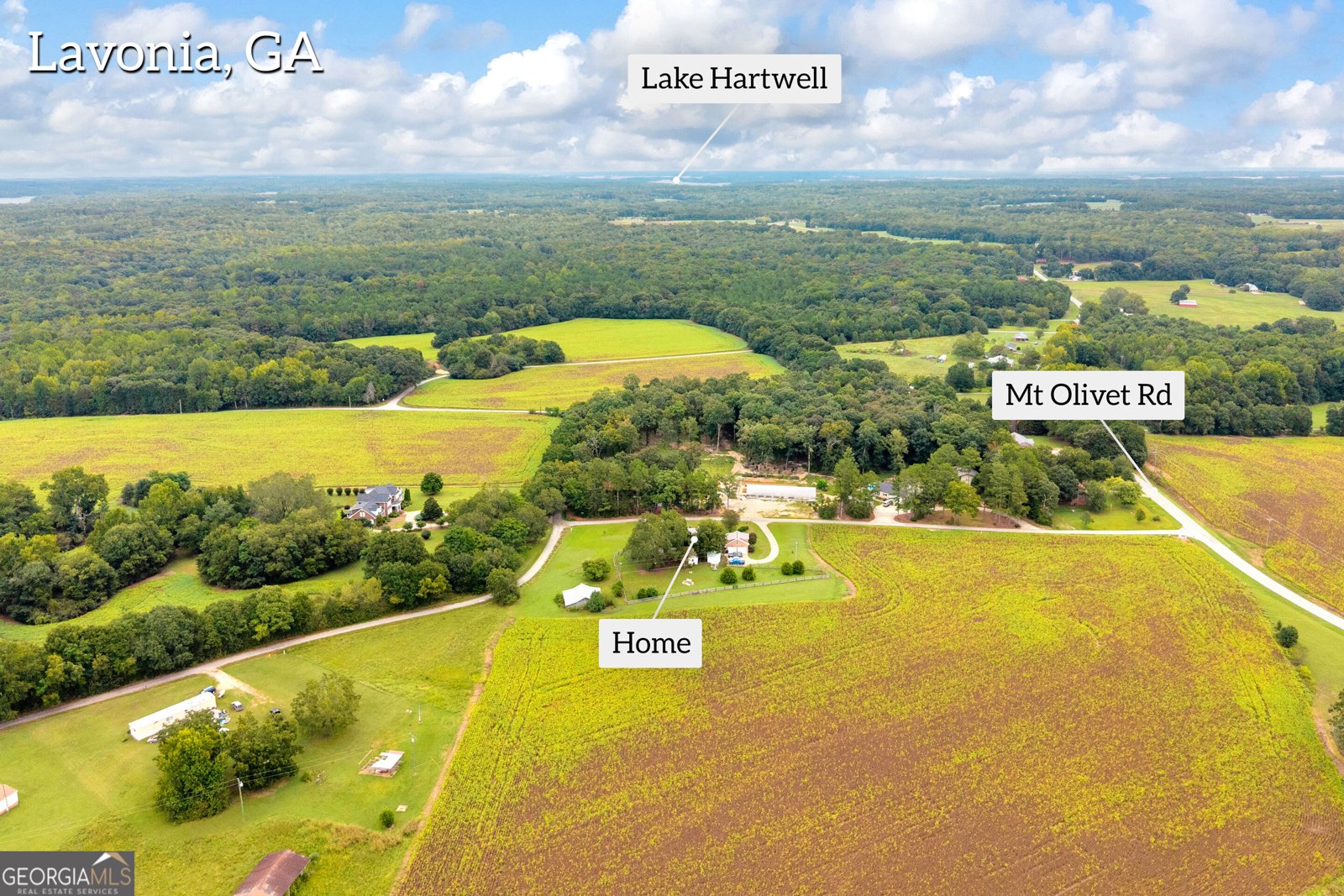 121 Bailey Place Road Lavonia - Photo 66