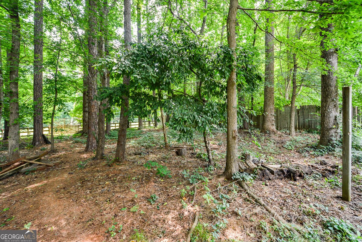 3844 Princeton Oaks Kennesaw - Photo 62