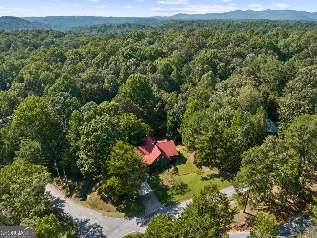814 Eagle Mountain Drive Ellijay - Photo 33
