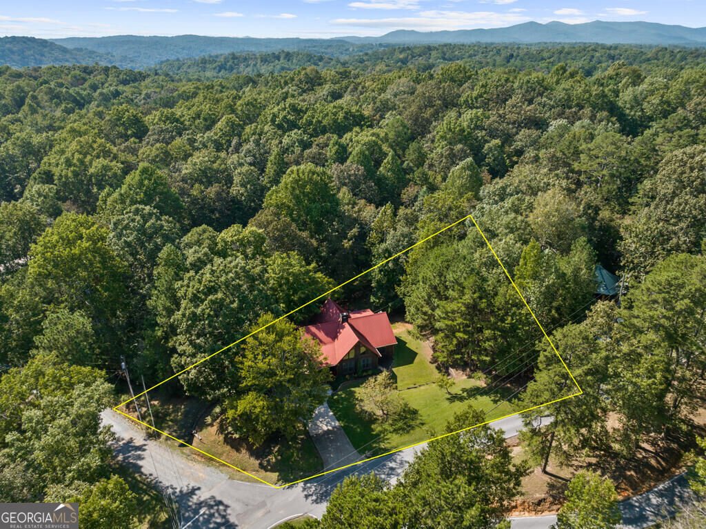 814 Eagle Mountain Drive Ellijay - Photo 34