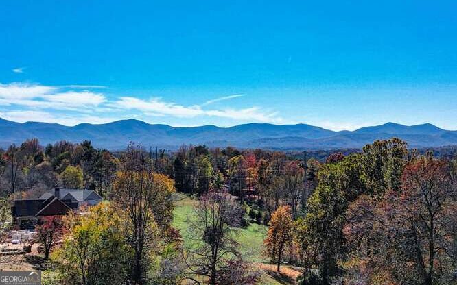 915 Arbor Lane Blairsville - Photo 40