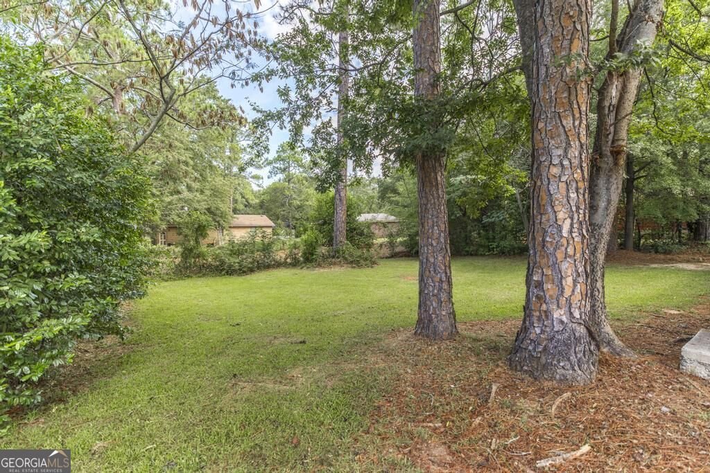 316 Peach Circle Fort Valley - Photo 28