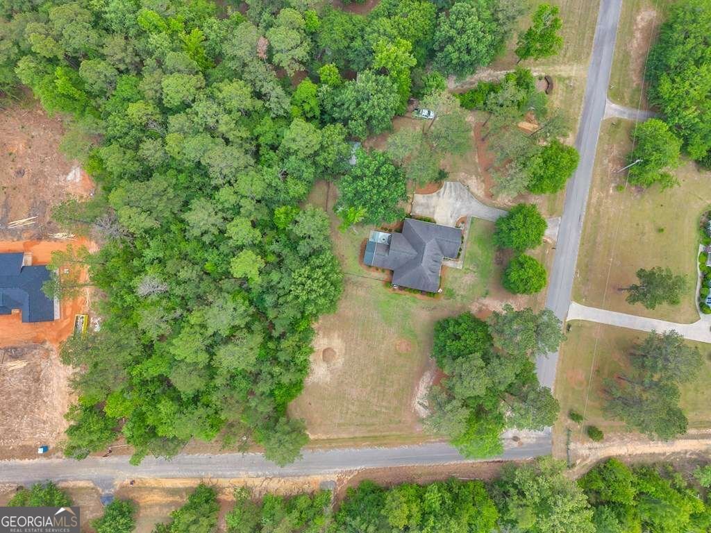 733 Flanders Lane Dublin - Photo 53