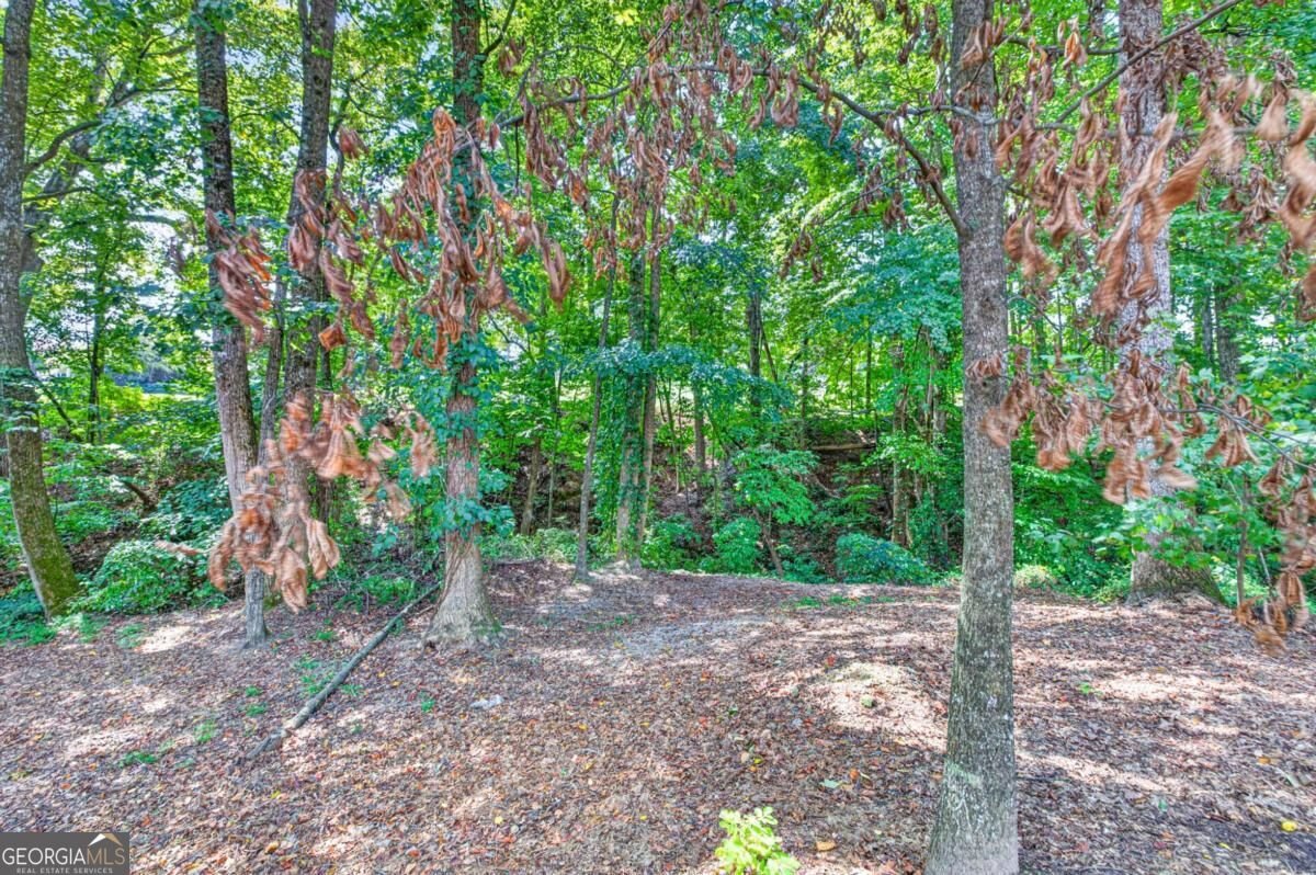 4000 Lantern Hill Drive Dacula - Photo 74