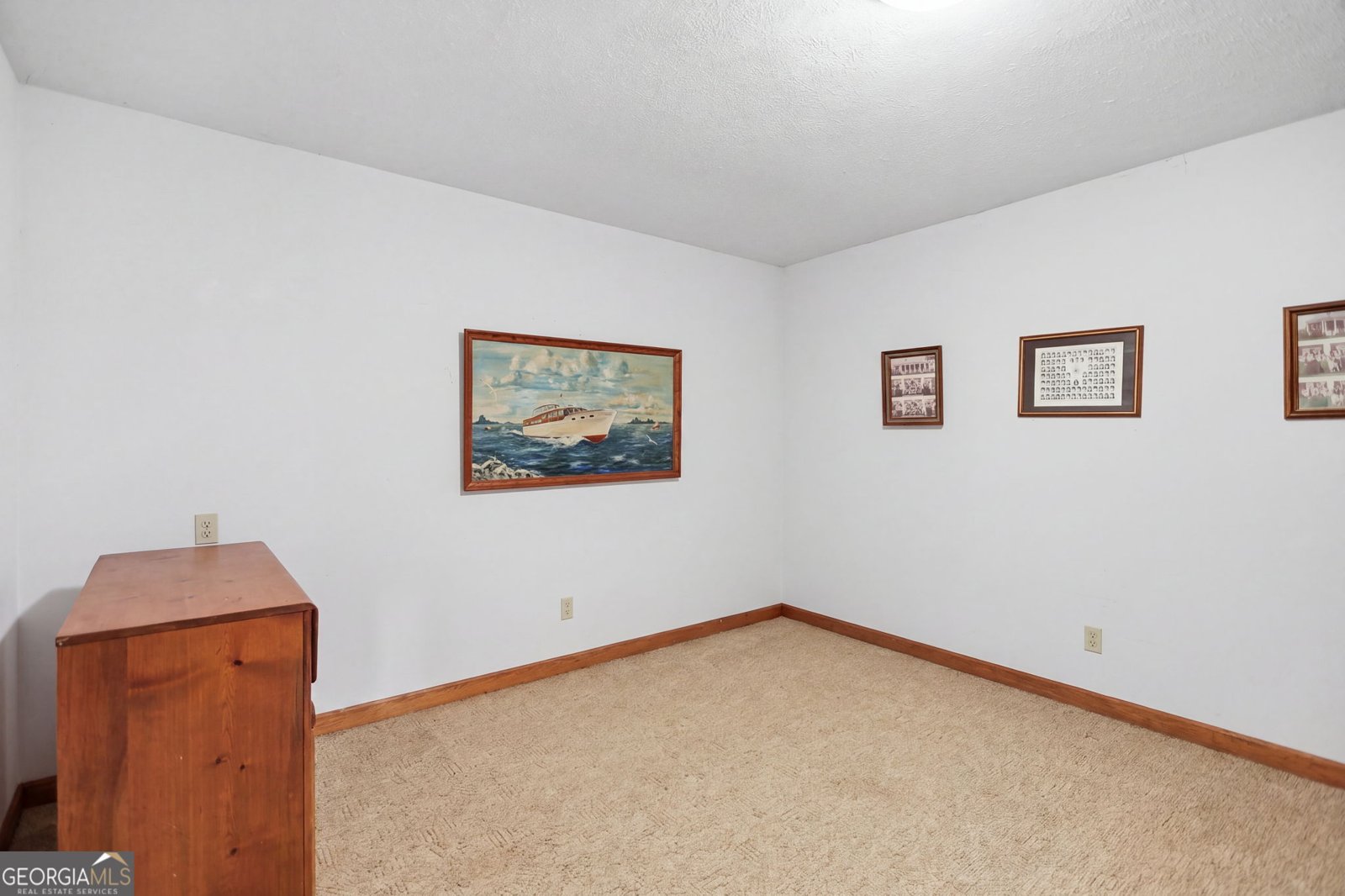 212 Aaron Young Road Newnan - Photo 29