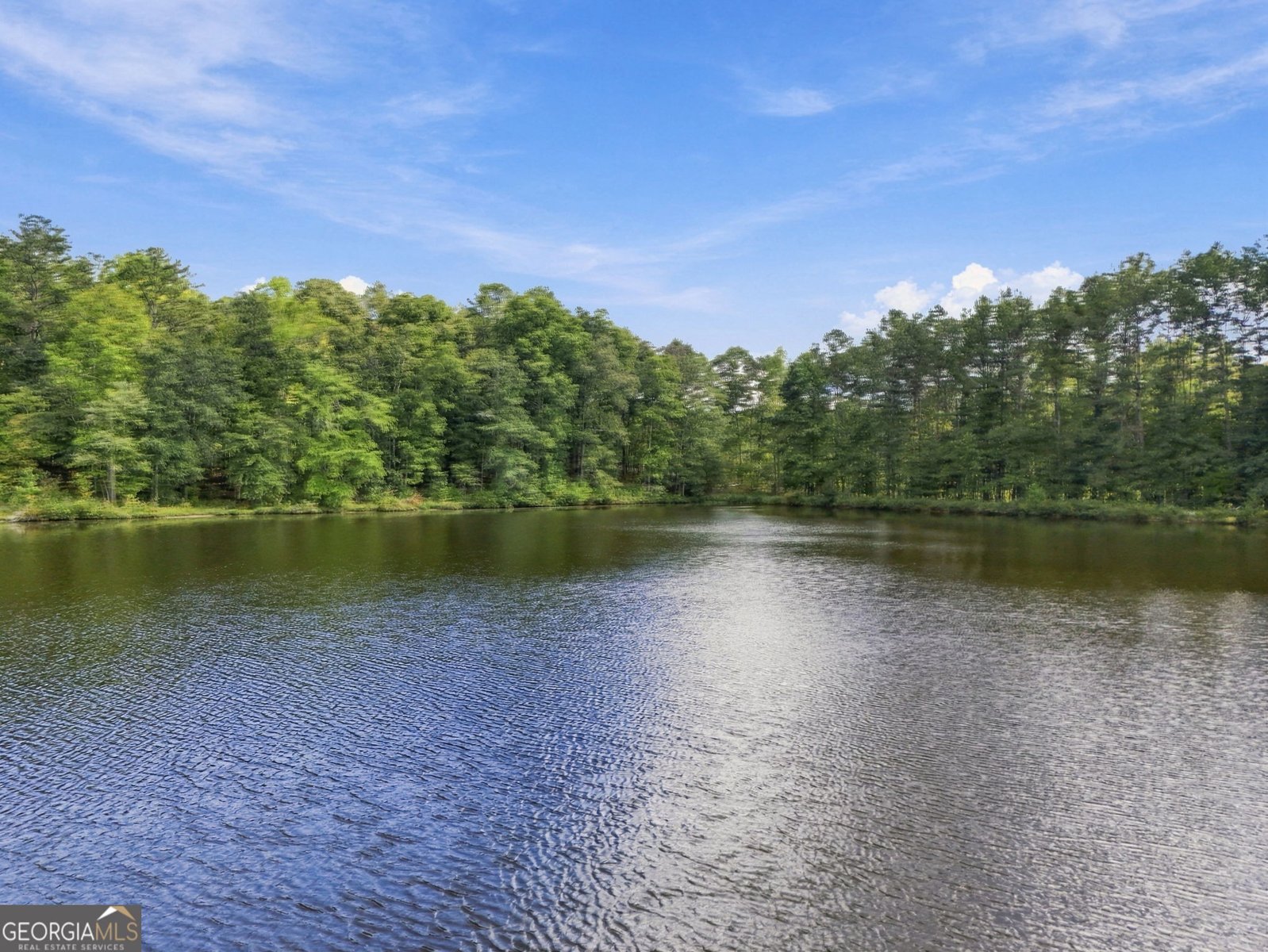 212 Aaron Young Road Newnan - Photo 57