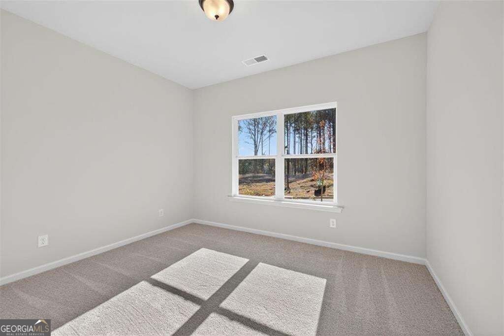 368 Wick Street Hoschton - Photo 37